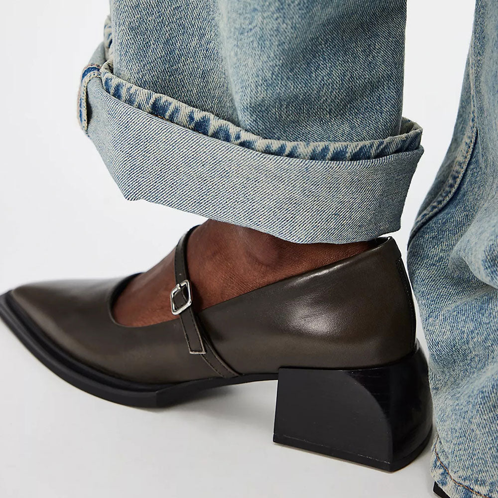Dark Brown Pointed Toe Block Heel Buckle Mary Jane Pumps for Women