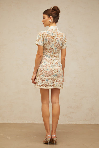 Françoise flower-embroidered mini dress