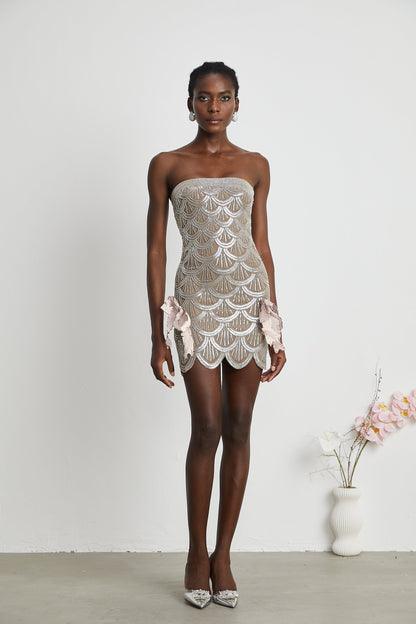 Astrid brown embellished mini dress