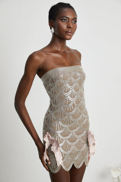 Astrid brown embellished mini dress