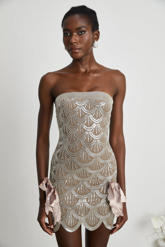 Astrid brown embellished mini dress
