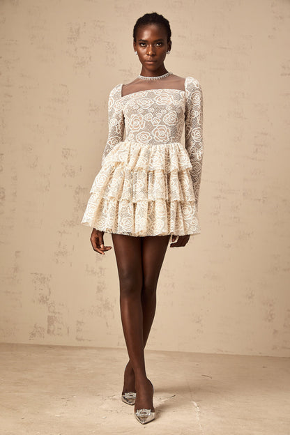 Hippolyte neutrals floral-embroidered mini dress