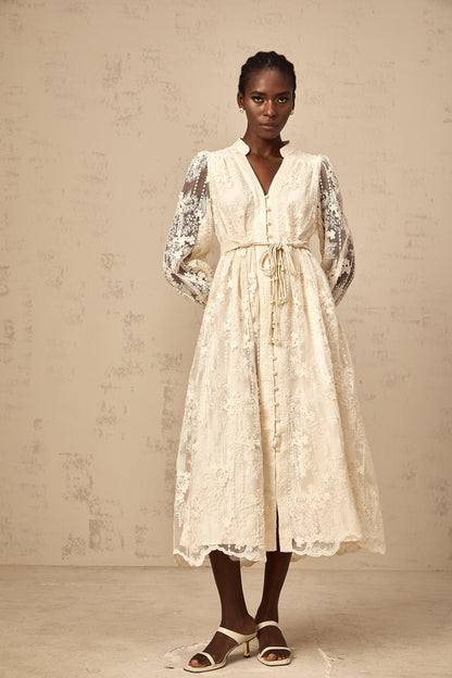Roxane neutrals lace-embroidered midi dress