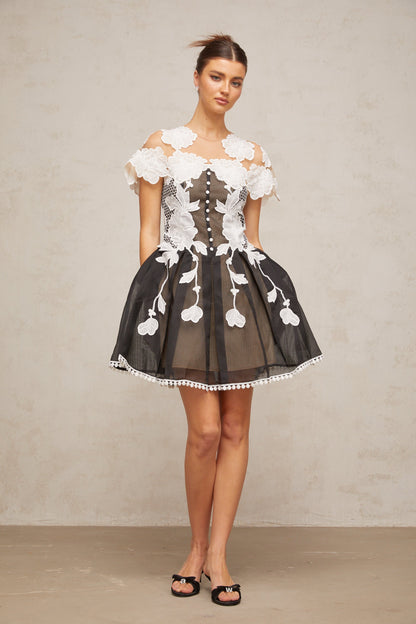 Sandrine color-blocked floral-embroidered mini dress