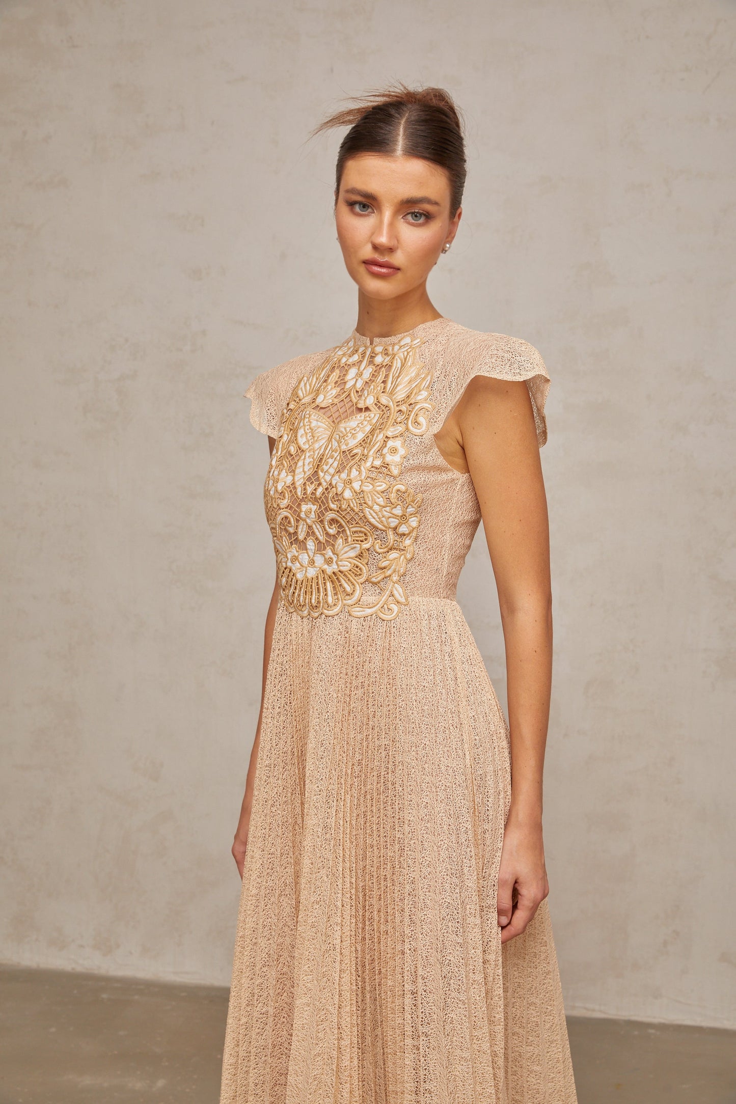 Nerissa embroidered pleated midi dress