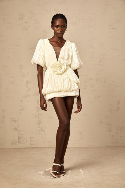 Nadège neutrals pleated floral-appliqué mini dress