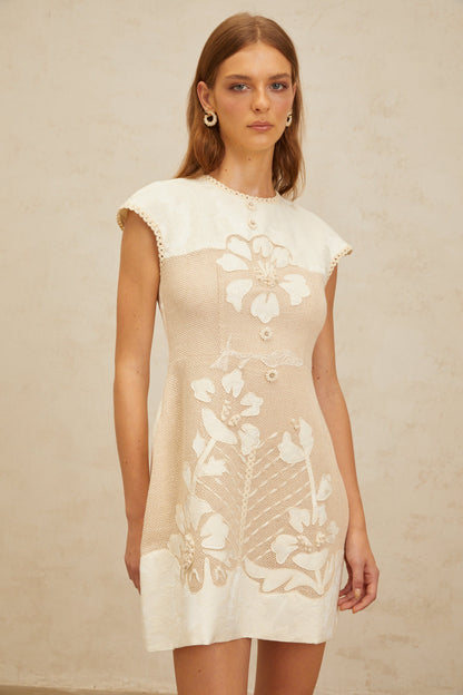 Manon Neutral Floral Embroidered Crochet Mini Dress