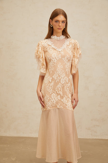 Annabelle Embellished Floral Lace Panelled Midi Dress in Neutrals