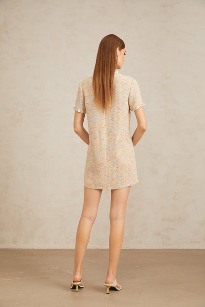 Palme Neutral Embellished Crochet Knit Mini Dress