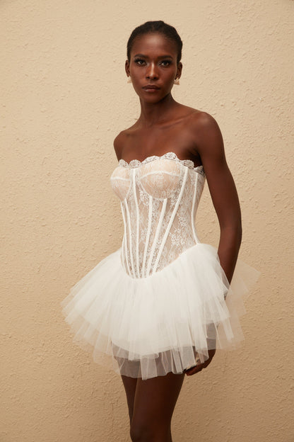 Dagmar White Tulle Panel Lace Mini Dress