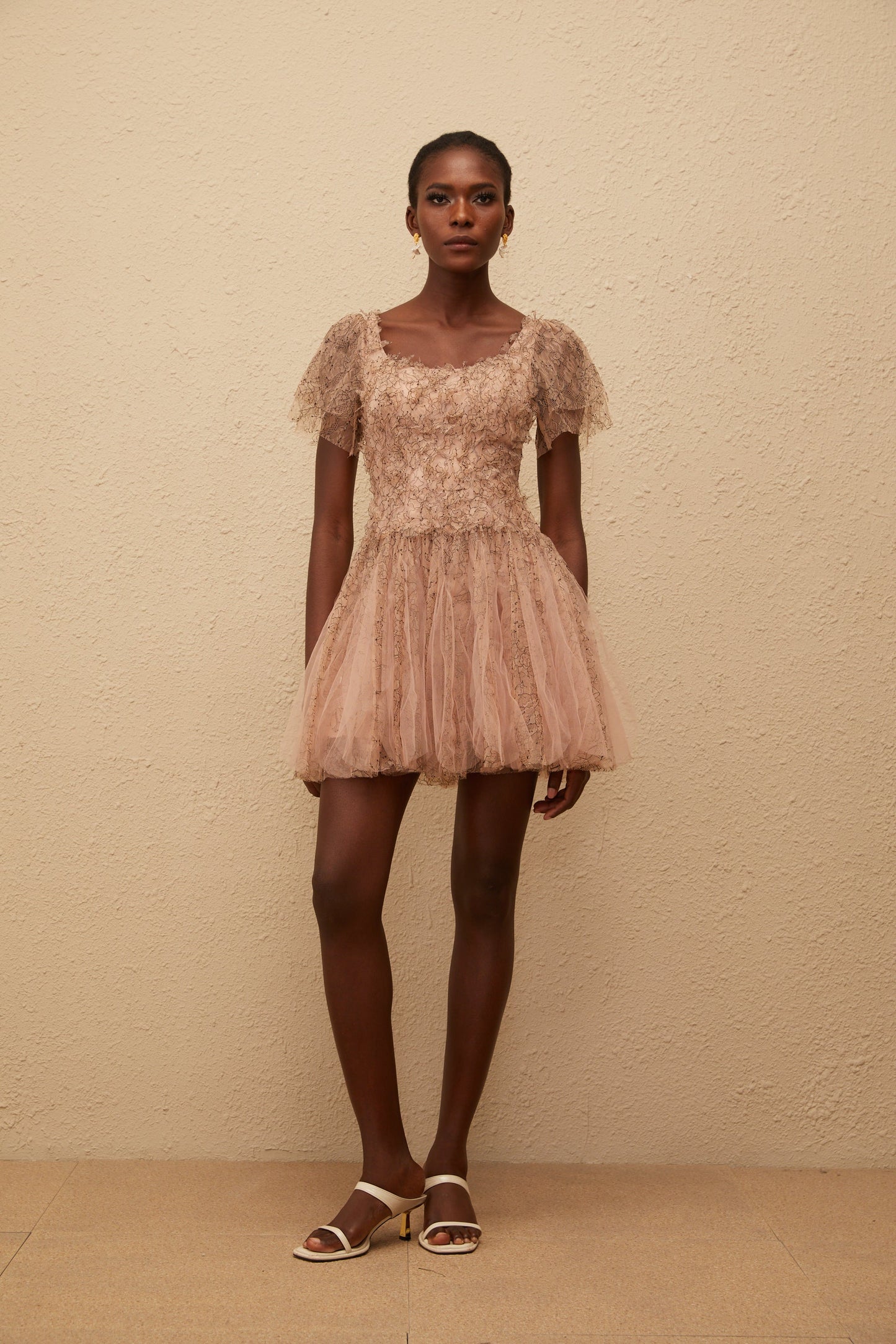 Gaëtane Brown Tulle Panel Lace Mini Dress