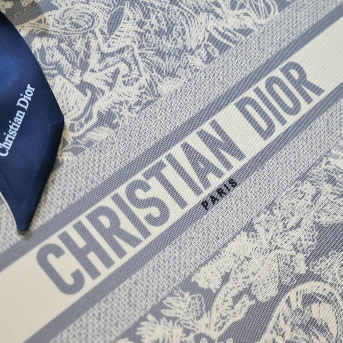 Dior Book Tote