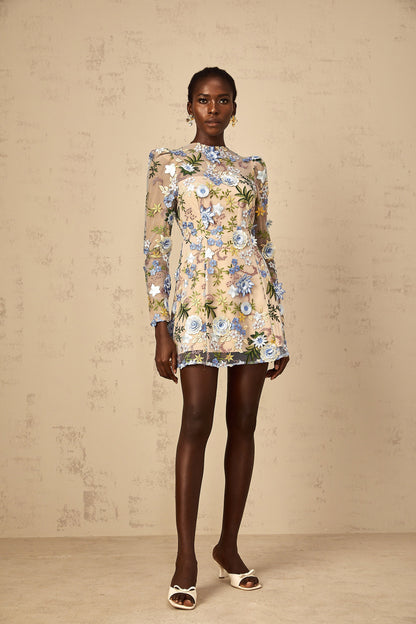 Jolien Blue Floral Appliqué Embroidered Tulle Mini Dress