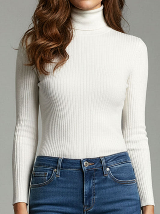 Basic Ribbed Knit Turtleneck Slim Fit Sweater