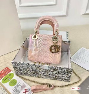 EL2050 Dior bag