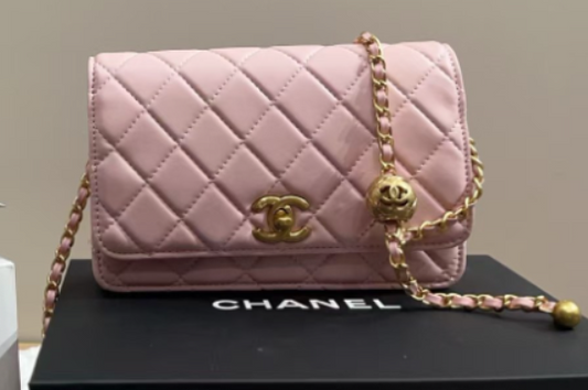 EL2109C – New Chanel Adjustable Strap WOC