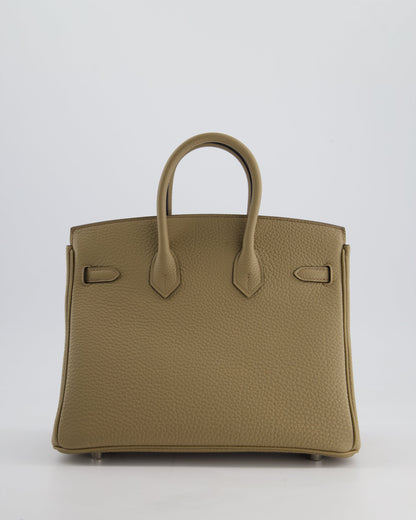 *RARE* Hermès Birkin 25cm Retourne Bag in Beige Marfa Togo Leather with Palladium Hardware