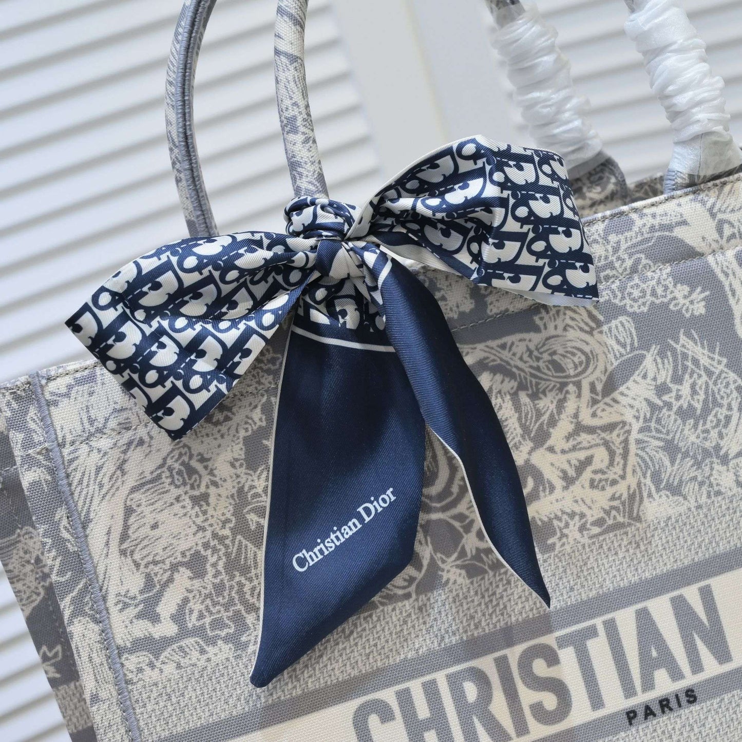 Dior Book Tote