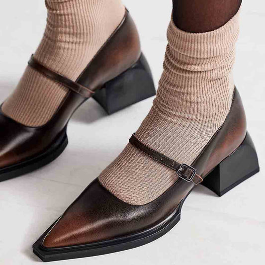 Dark Brown Pointed Toe Chunky Heel Mary Jane Shoes with Buckle Strappy