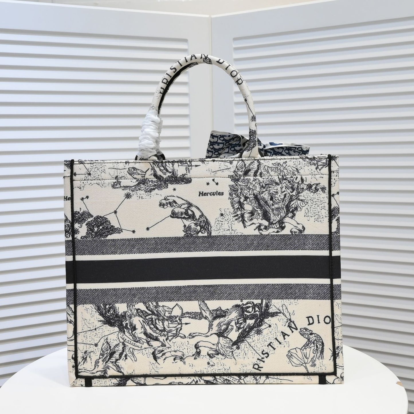 Dior Zodiac Embroidery