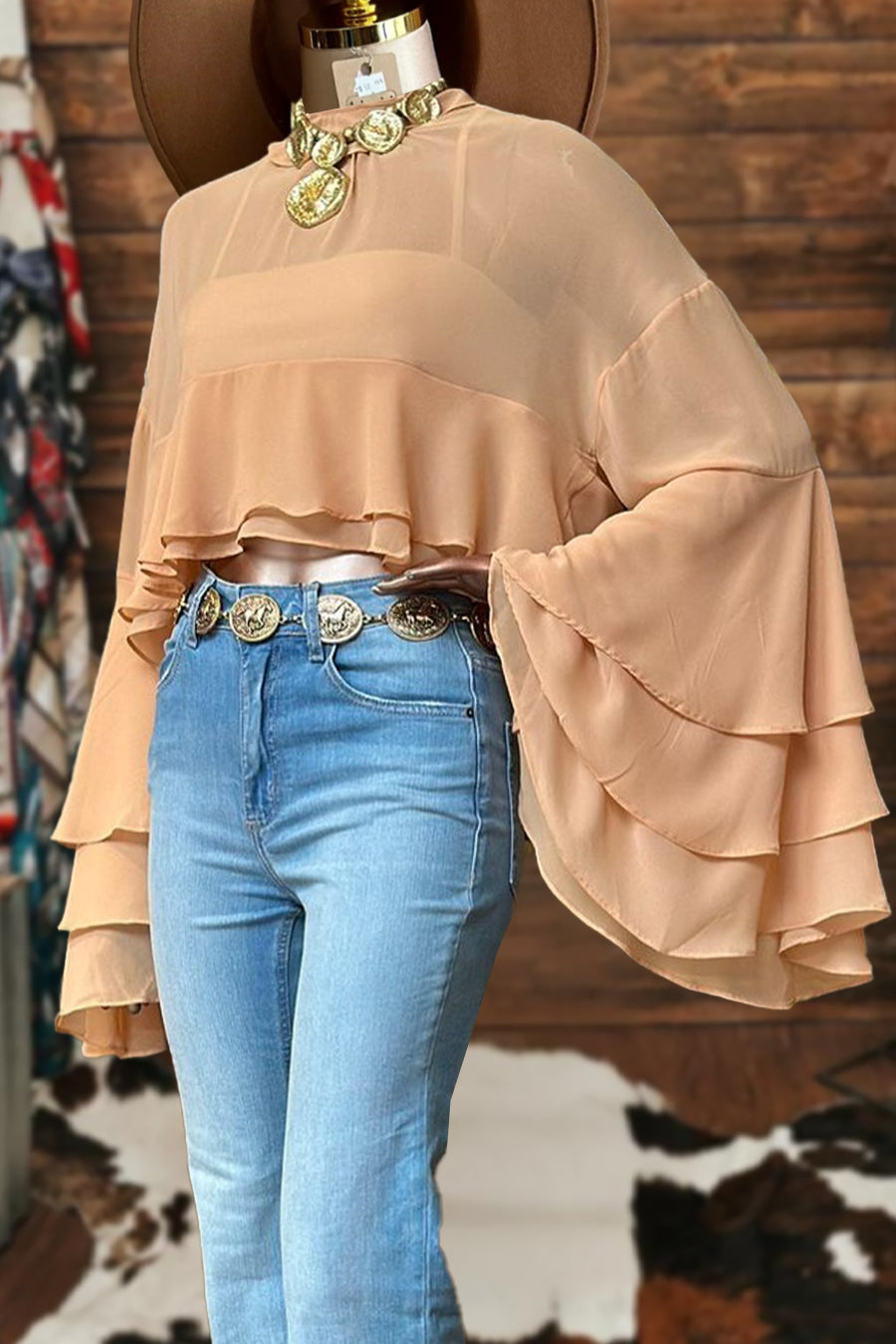 Clear Chiffon Solid Color Ruffled Blouse